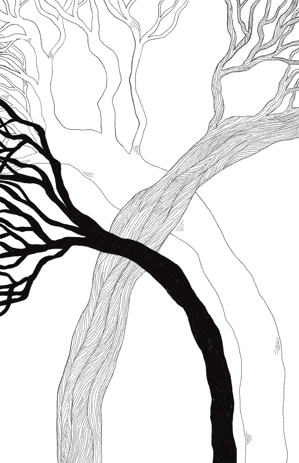 Black-and-white ink illustration 9 from Poetic Fragments, of a tree